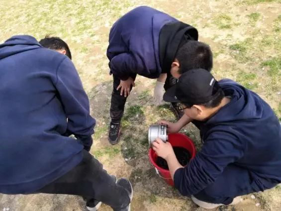 力邁中美（國際）學校研學營【讀萬卷書更要行好萬里路】(圖4)