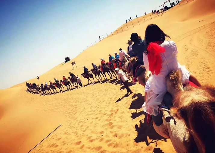 力邁中美國際學(xué)?？傂Ｈw教職工寧夏之行第三天