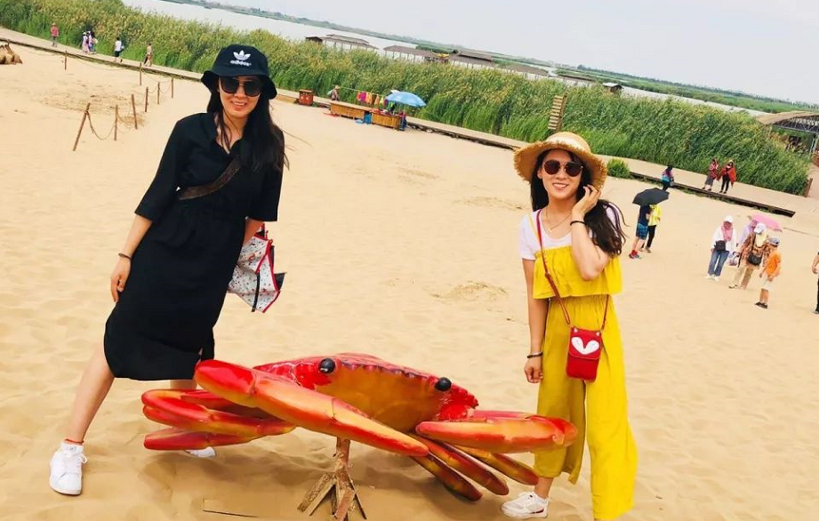 力邁中美國際學(xué)?？傂Ｈw教職工走進寧夏博物館