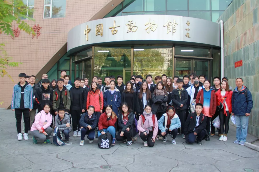 2019年插班北京國(guó)際學(xué)校學(xué)，如何快速融入需要做好以下四點(diǎn)(圖1)