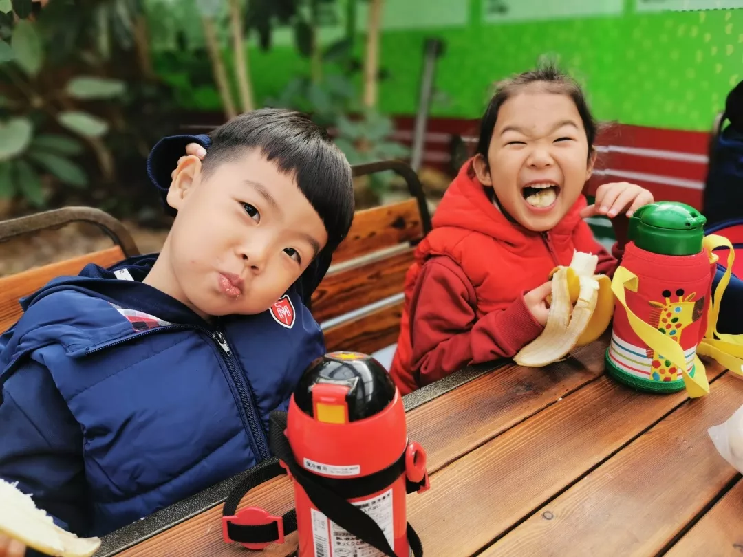 【力邁九華】遠(yuǎn)離城市喧囂，感受自然美麗—力邁幼兒園大自然親近課(圖1)