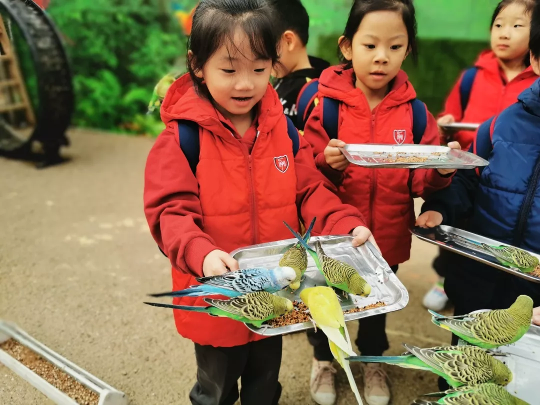 【力邁九華】遠(yuǎn)離城市喧囂，感受自然美麗—力邁幼兒園大自然親近課(圖5)