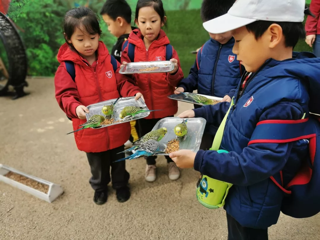 【力邁九華】遠(yuǎn)離城市喧囂，感受自然美麗—力邁幼兒園大自然親近課(圖6)