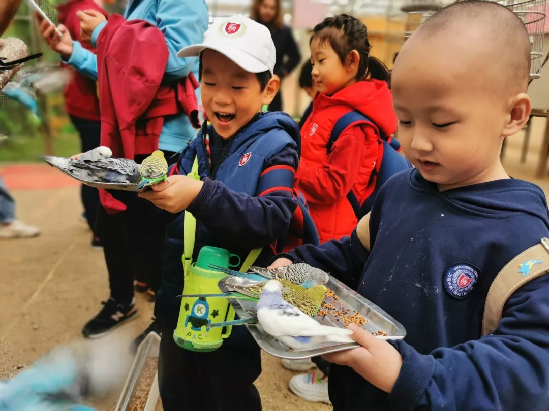 【力邁九華】遠(yuǎn)離城市喧囂，感受自然美麗—力邁幼兒園大自然親近課(圖7)