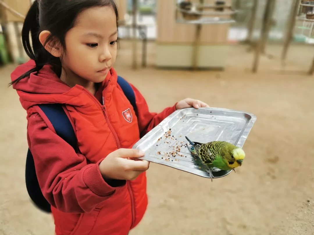 【力邁九華】遠(yuǎn)離城市喧囂，感受自然美麗—力邁幼兒園大自然親近課(圖9)