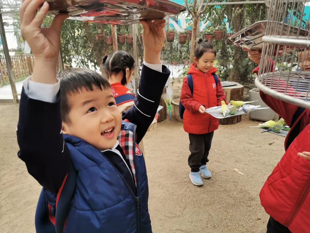 【力邁九華】遠(yuǎn)離城市喧囂，感受自然美麗—力邁幼兒園大自然親近課(圖10)