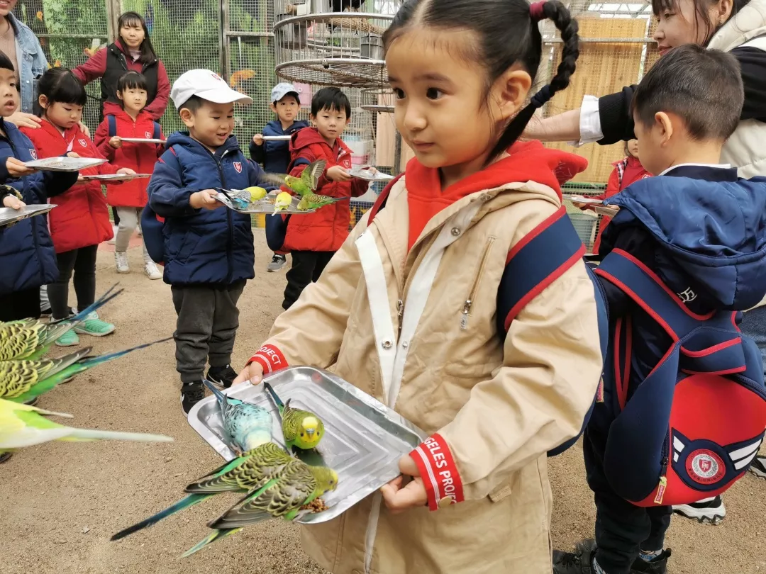 【力邁九華】遠(yuǎn)離城市喧囂，感受自然美麗—力邁幼兒園大自然親近課(圖11)