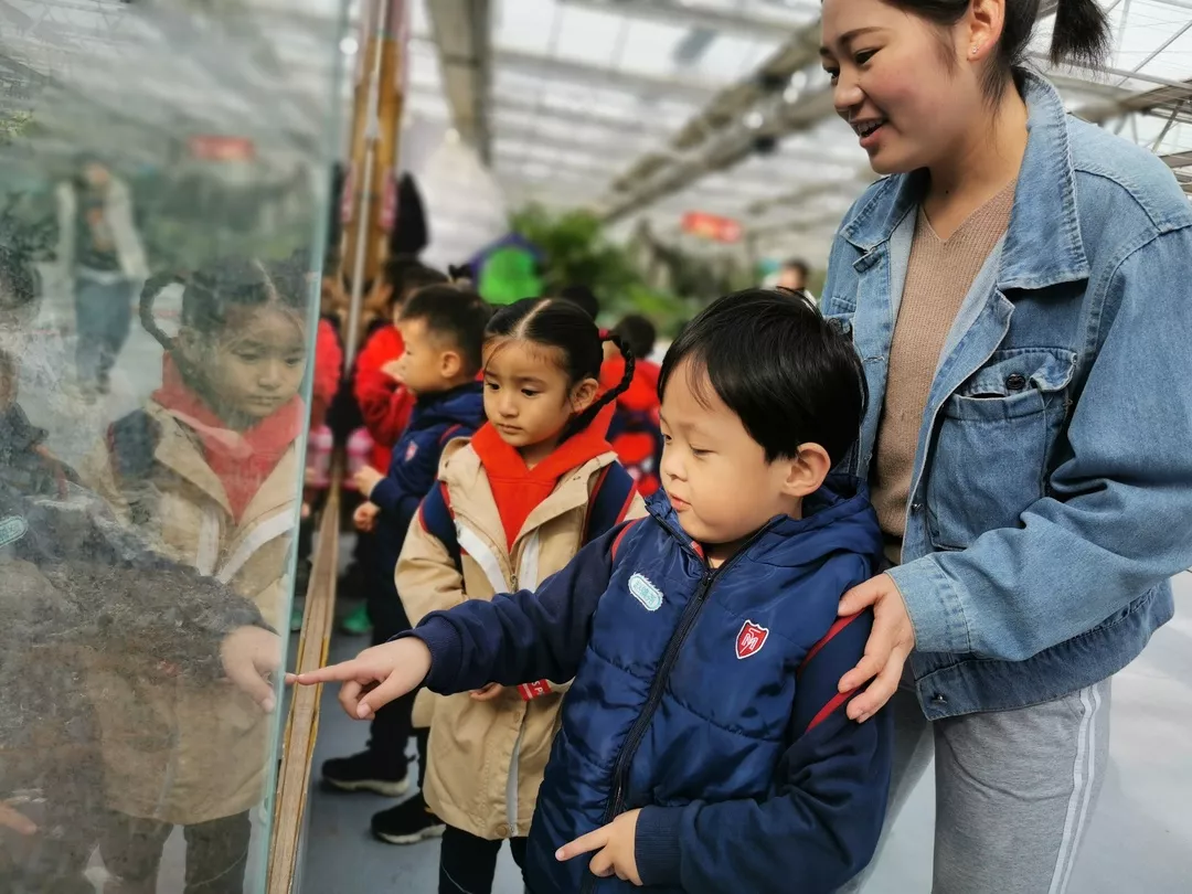 【力邁九華】遠(yuǎn)離城市喧囂，感受自然美麗—力邁幼兒園大自然親近課(圖12)