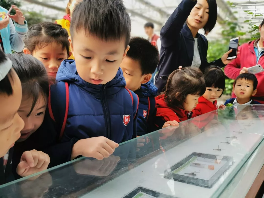 【力邁九華】遠(yuǎn)離城市喧囂，感受自然美麗—力邁幼兒園大自然親近課(圖13)