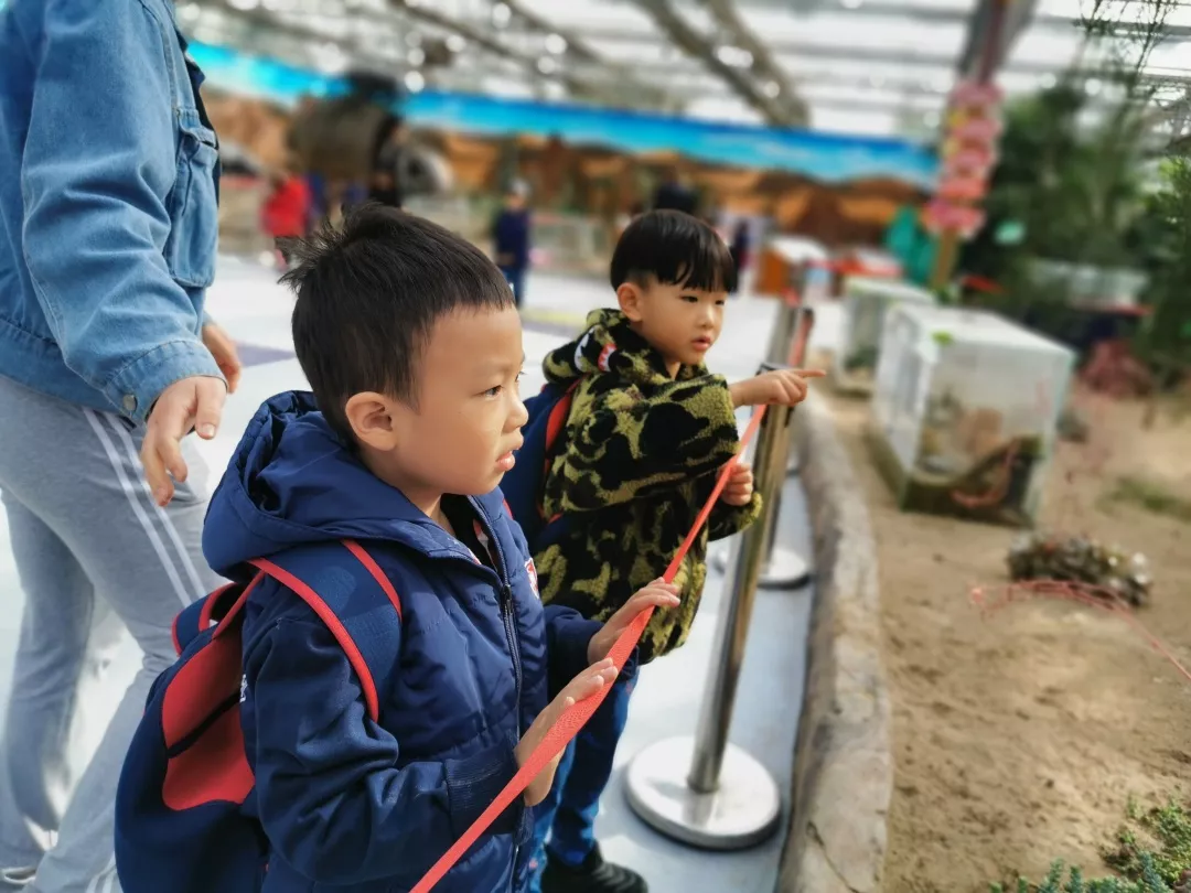 【力邁九華】遠(yuǎn)離城市喧囂，感受自然美麗—力邁幼兒園大自然親近課(圖14)
