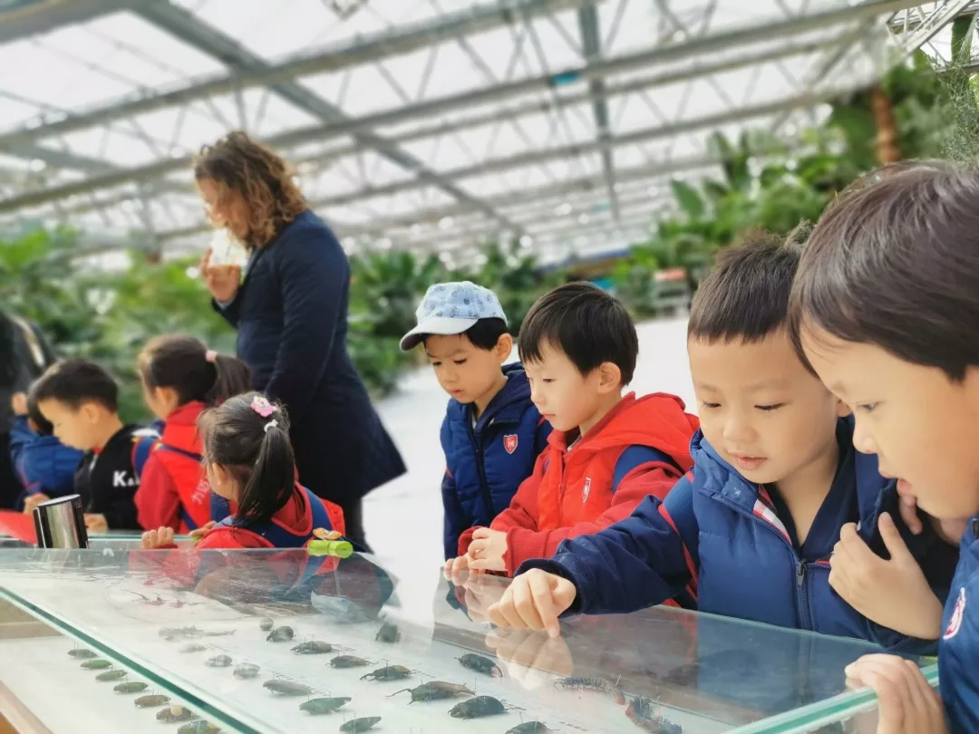 【力邁九華】遠(yuǎn)離城市喧囂，感受自然美麗—力邁幼兒園大自然親近課(圖16)