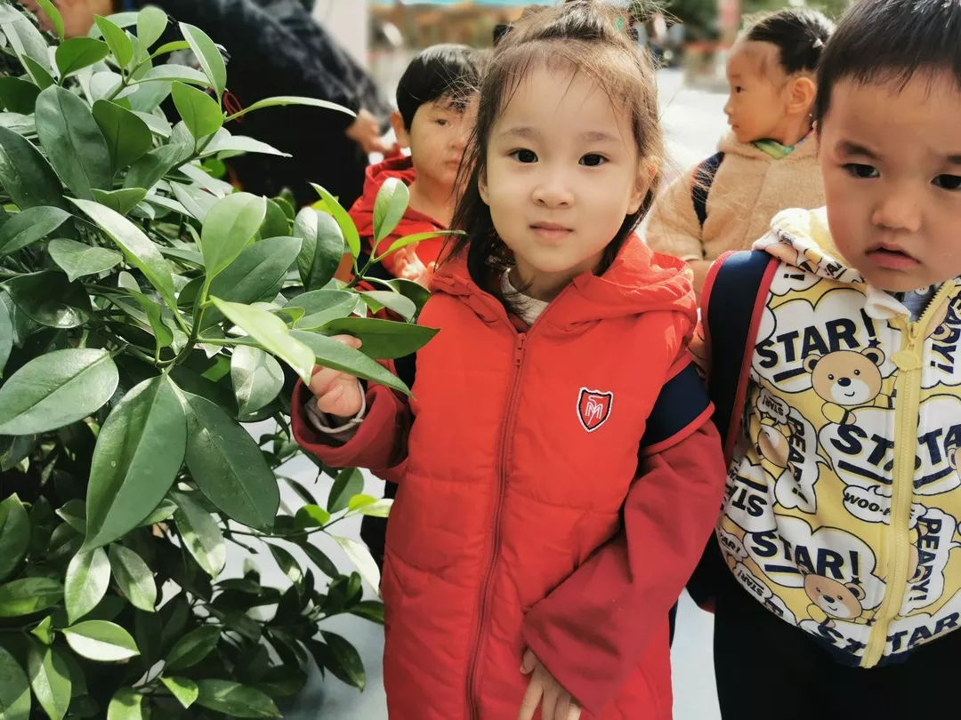【力邁九華】遠(yuǎn)離城市喧囂，感受自然美麗—力邁幼兒園大自然親近課(圖17)