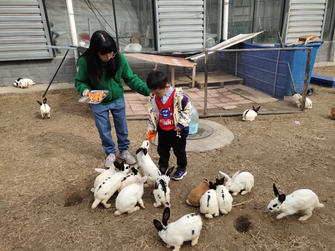 【力邁九華】遠(yuǎn)離城市喧囂，感受自然美麗—力邁幼兒園大自然親近課(圖20)