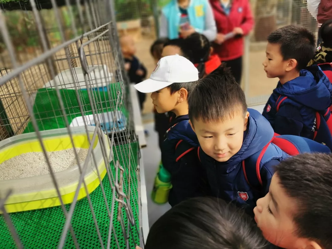 【力邁九華】遠(yuǎn)離城市喧囂，感受自然美麗—力邁幼兒園大自然親近課(圖24)