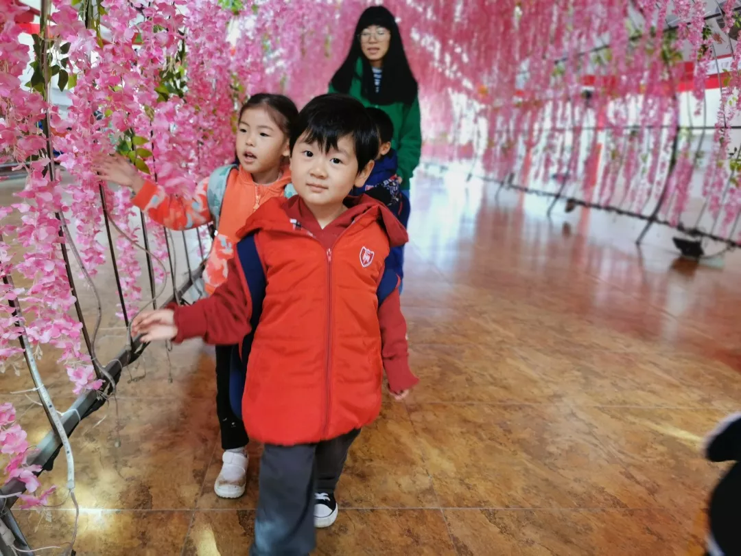 【力邁九華】遠(yuǎn)離城市喧囂，感受自然美麗—力邁幼兒園大自然親近課(圖27)