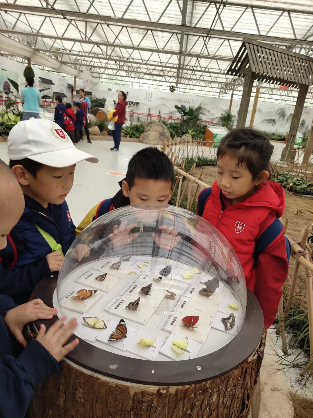 【力邁九華】遠(yuǎn)離城市喧囂，感受自然美麗—力邁幼兒園大自然親近課(圖29)