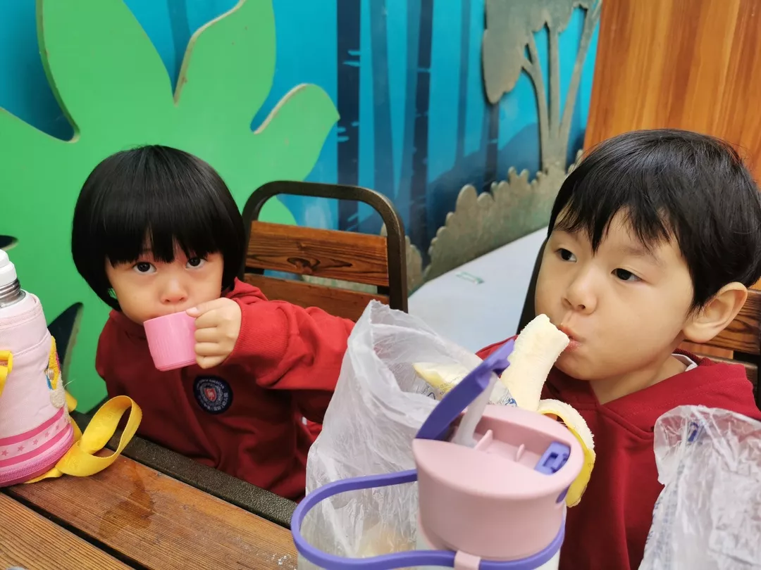 【力邁九華】遠(yuǎn)離城市喧囂，感受自然美麗—力邁幼兒園大自然親近課(圖31)