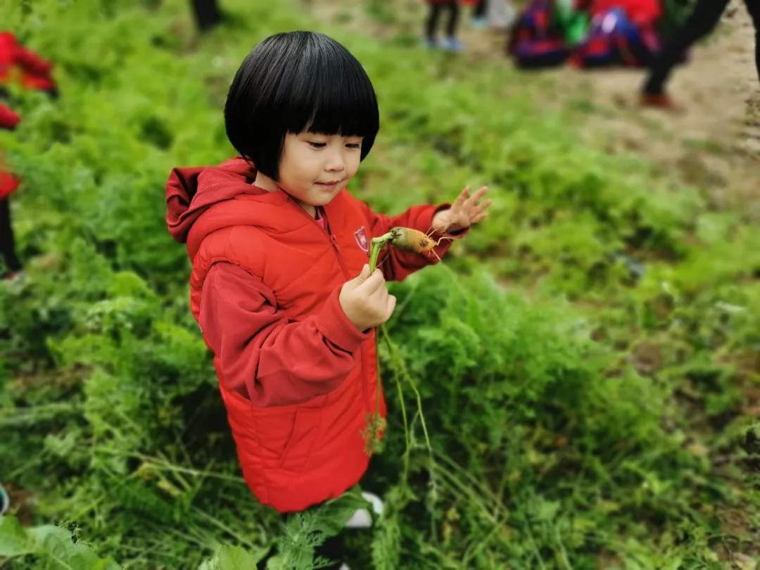 【力邁九華】遠(yuǎn)離城市喧囂，感受自然美麗—力邁幼兒園大自然親近課(圖39)