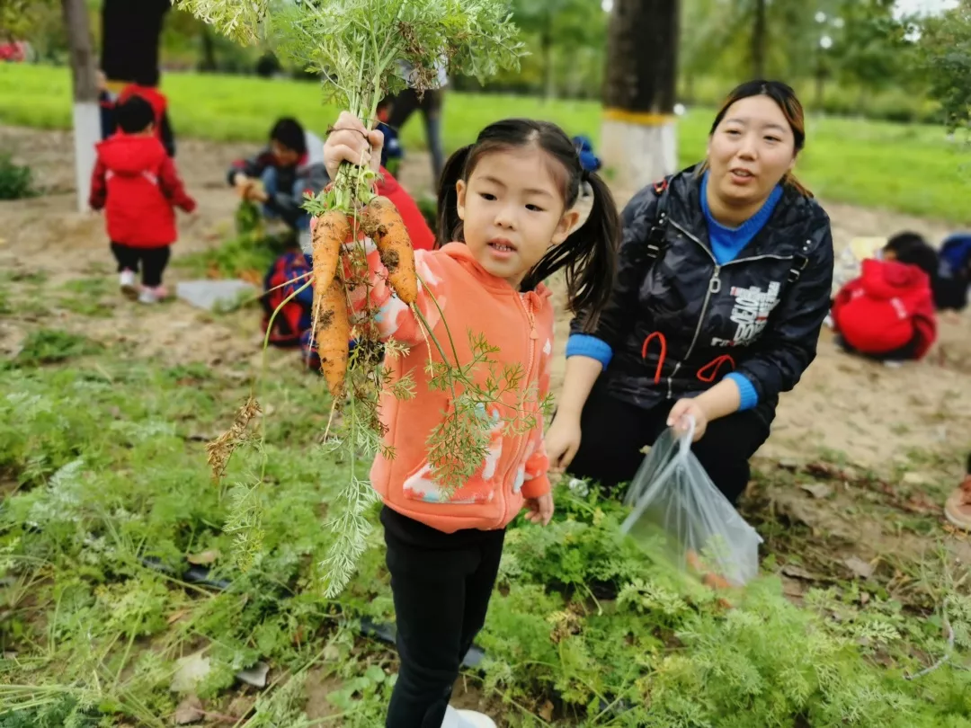【力邁九華】遠(yuǎn)離城市喧囂，感受自然美麗—力邁幼兒園大自然親近課(圖40)