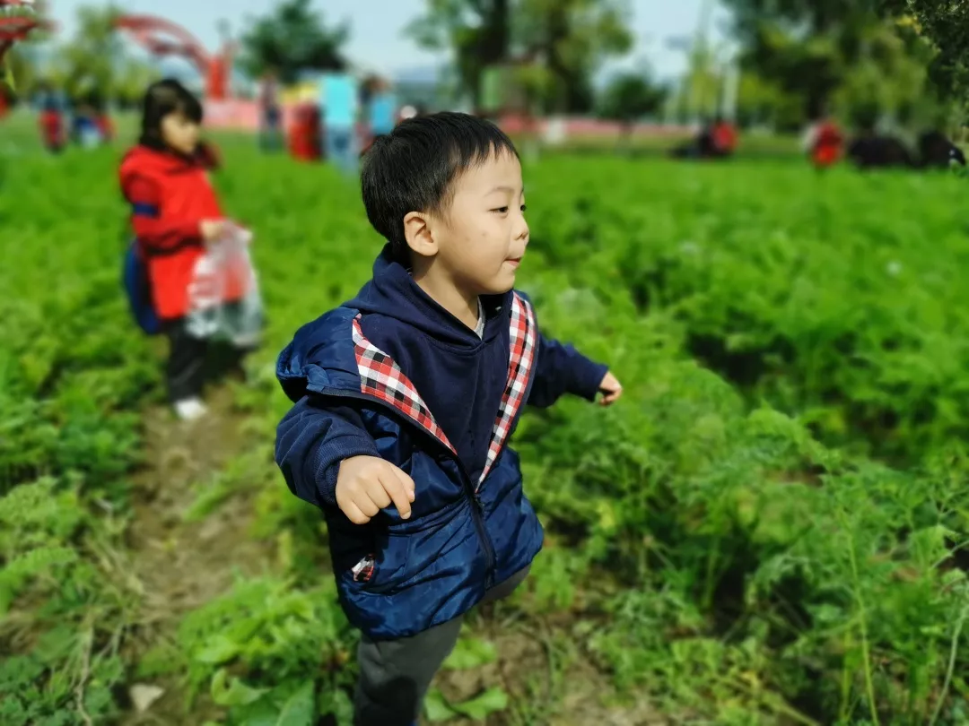 【力邁九華】遠(yuǎn)離城市喧囂，感受自然美麗—力邁幼兒園大自然親近課(圖42)