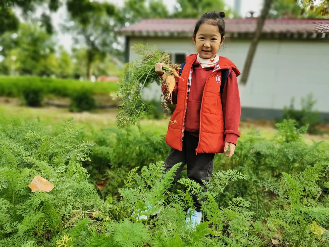 【力邁九華】遠(yuǎn)離城市喧囂，感受自然美麗—力邁幼兒園大自然親近課(圖44)