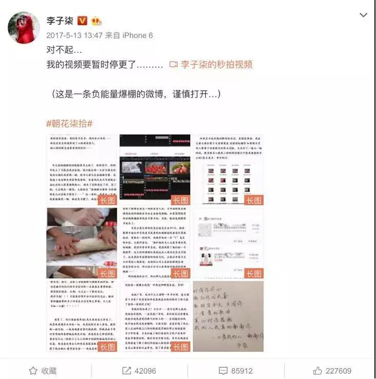 【力邁推薦】被央視點名表揚，李子柒成功路上的堅持你看到了嗎？(圖11)