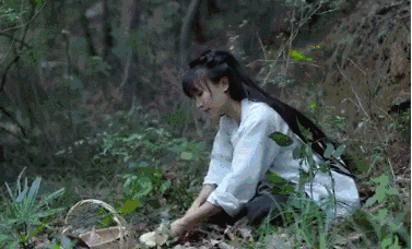 【力邁推薦】被央視點名表揚，李子柒成功路上的堅持你看到了嗎？(圖10)