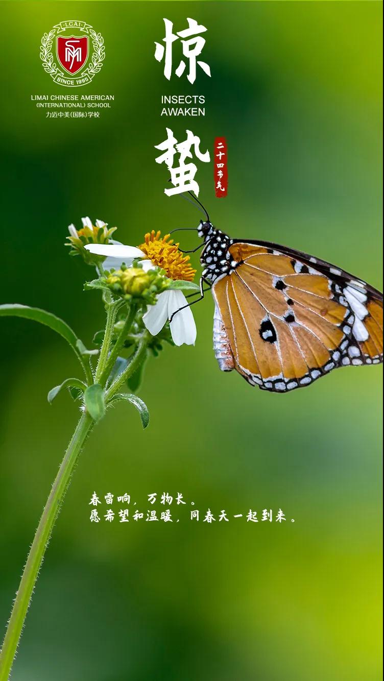 線上直播 | PBL項(xiàng)目式探索飛行(圖1)