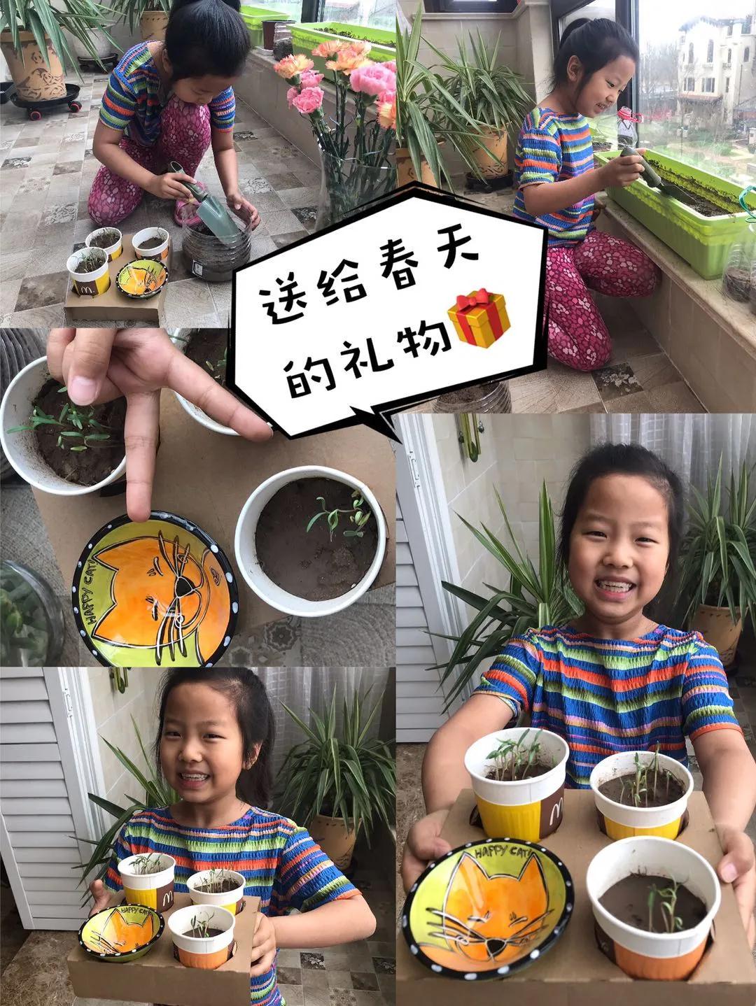 茵茵春色醉人間，幽幽情懷入家園/力邁中美學(xué)校環(huán)保教育月彩蛋(圖8)