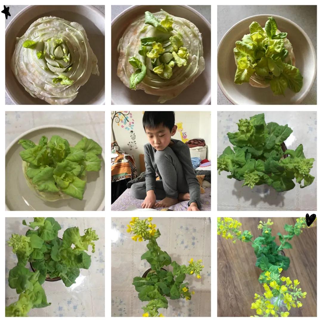 茵茵春色醉人間，幽幽情懷入家園/力邁中美學(xué)校環(huán)保教育月彩蛋(圖7)