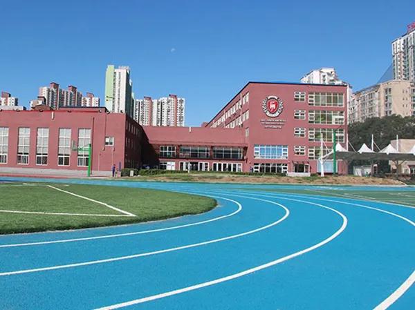海外小留學生回國學業(yè)如何銜接？力邁國際學校是您的不二之選！(圖2)