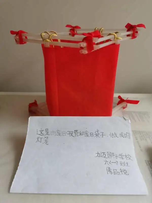 南昌力邁（國際）學校 | 地球日 | 疫情雖當時，環(huán)保不停歇(圖10)