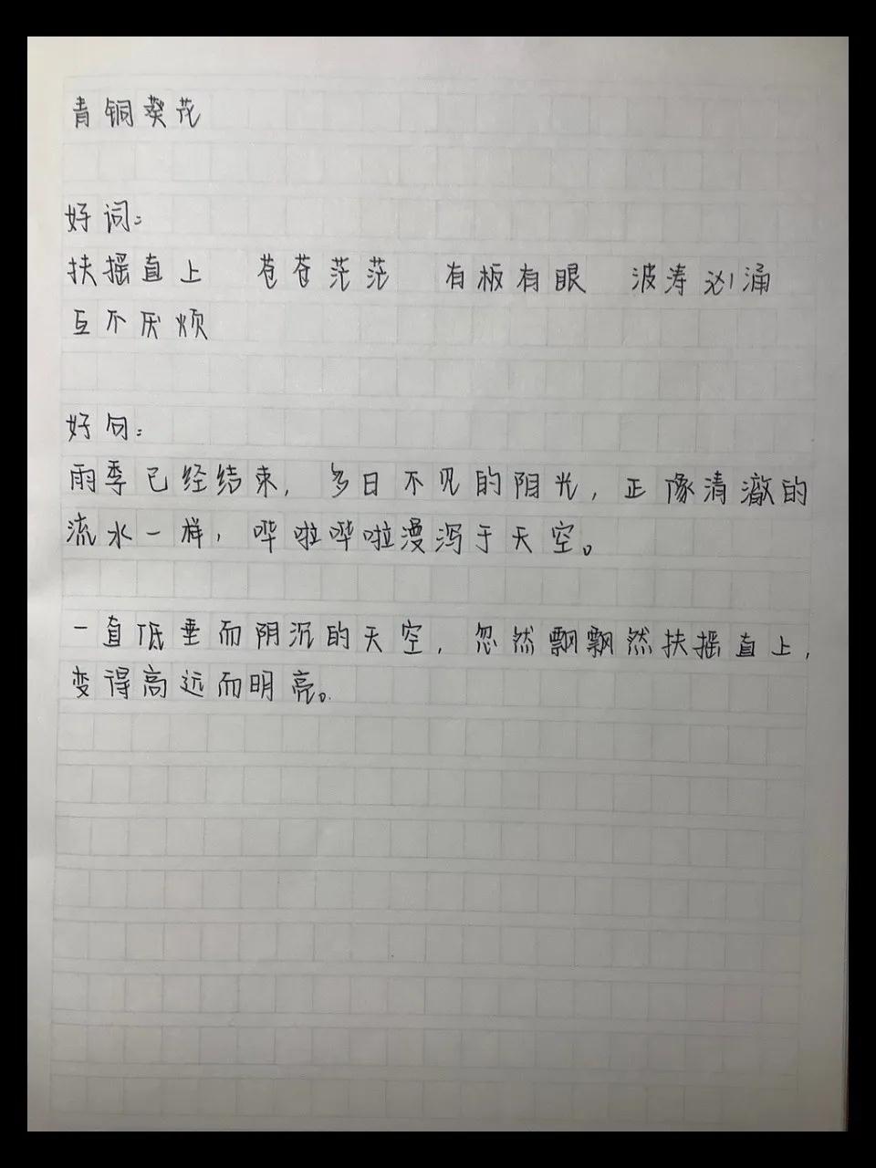 南昌力邁（國(guó)際）學(xué)校 | 世界圖書日 | 師生推薦圖書清單(圖15)