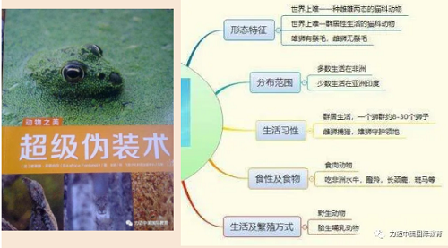 獲得16.7萬(wàn)關(guān)注量的在線公開課，STEAM教學(xué)設(shè)計(jì)如何吸人眼球？(圖7)