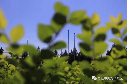 秋日力邁，盼你歸來(lái)(圖11)