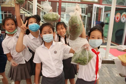 我愛(ài)這土地，因?yàn)槲倚岬搅四嗤梁筒萑~的芬芳|力邁中美國(guó)際學(xué)校勞動(dòng)教育實(shí)踐活動(dòng)(圖18)