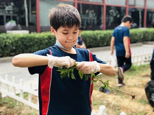 我愛(ài)這土地，因?yàn)槲倚岬搅四嗤梁筒萑~的芬芳|力邁中美國(guó)際學(xué)校勞動(dòng)教育實(shí)踐活動(dòng)(圖11)
