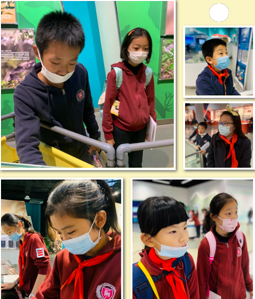 古詩小鎮(zhèn)蘊文化，科技中心揭奧秘|力邁中美國際學校小學生社會實踐活動(圖27)