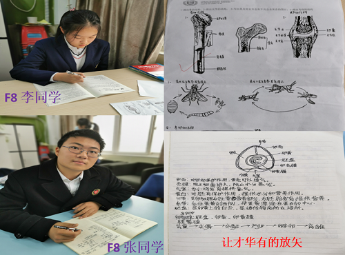 厚積薄發(fā)，大放異彩｜力邁中美國際學校中學部期中總結(jié)表彰大會暨北美學部開放日(圖8)