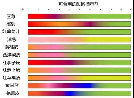 CPS Program III|感受實(shí)驗(yàn)之趣 ，走進(jìn)化學(xué)之美！(圖5)
