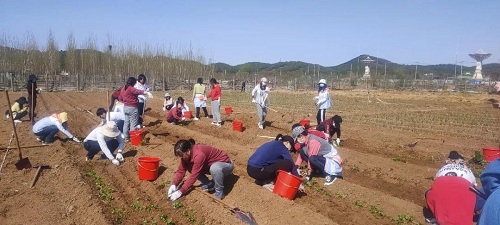 歡樂(lè)農(nóng)場(chǎng)，青春作伴|力邁中美國(guó)際學(xué)校班主任黨史培訓(xùn)團(tuán)建活動(dòng)(圖18)