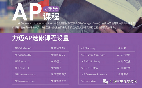 勇往直前，再創(chuàng)佳績——力邁中美國際高中學(xué)子AP考試成績雙科滿分！(圖6)