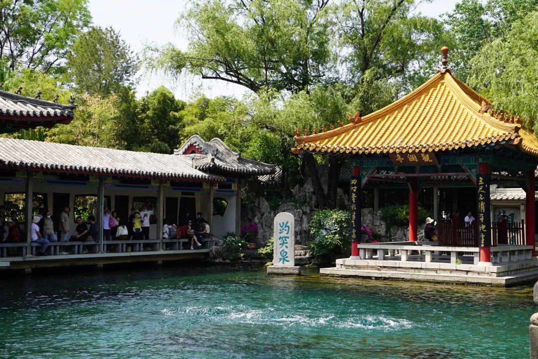 北京朝陽區(qū)力邁國際學(xué)校